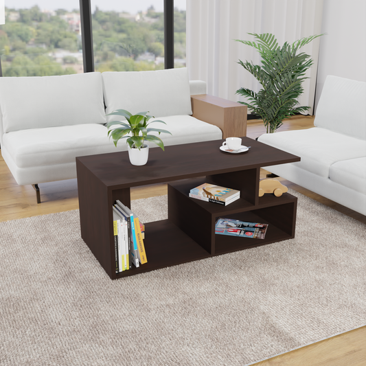 Astral Coffee Table with Storage (Matte Finish)