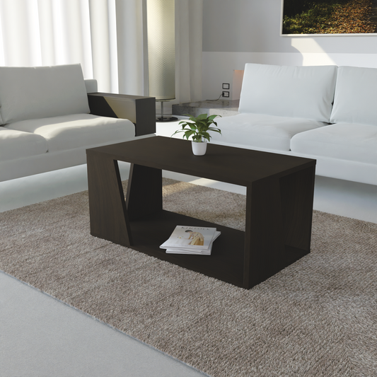 Evie Coffee Table with Storage (Matte Finish)