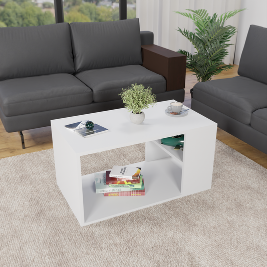 Klever Coffee Table with Storage (Matte Finish)