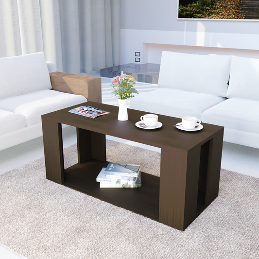 Vizeo  Coffee Table with Storage (Matte Finish)