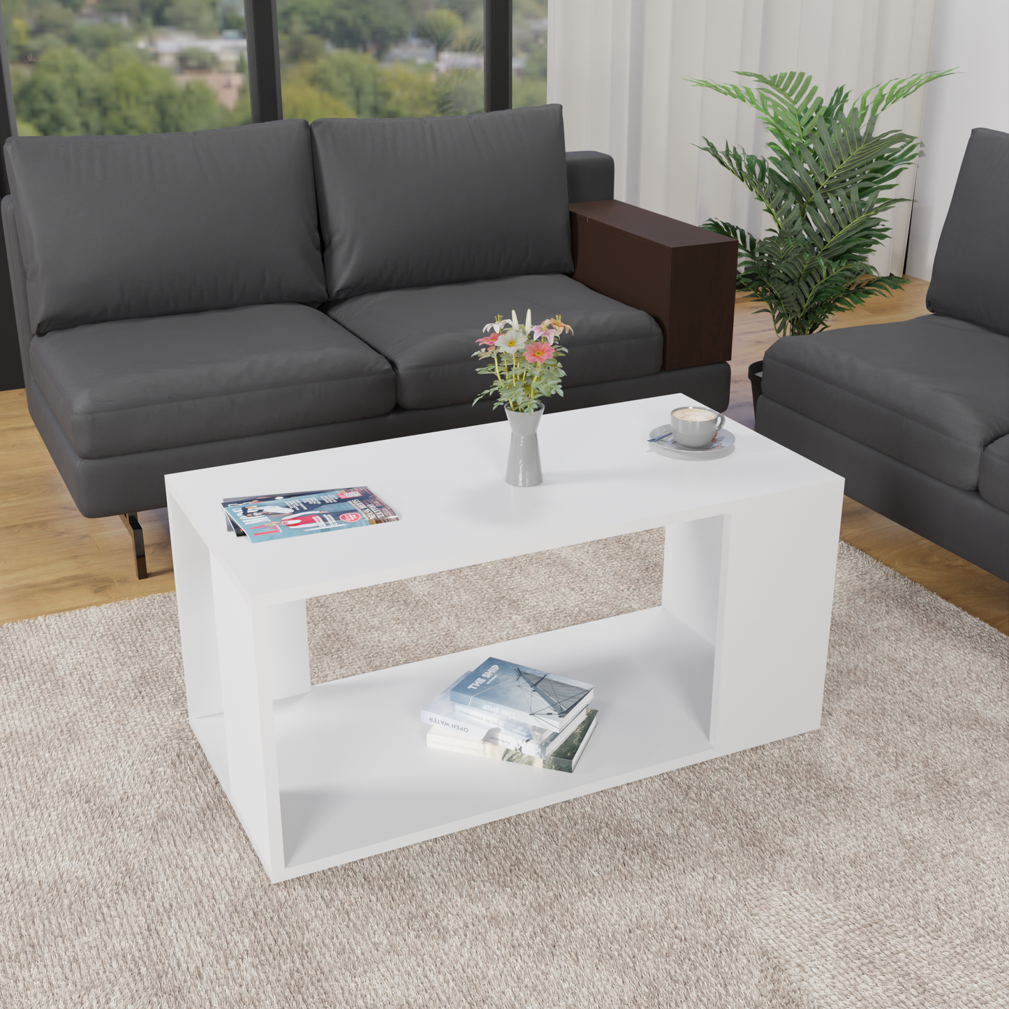 Carrera Coffee Table with Storage (Matte Finish)